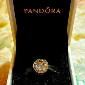 (Retired) Pandora Multi-coloured charm
